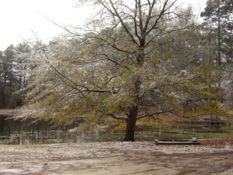 1989 Ford Bronco - Winter scene with a tree covered in ice next to a pond and a small boat.