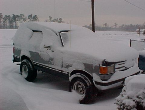 1987 Ford Bronco - A site to see first thing this morning!