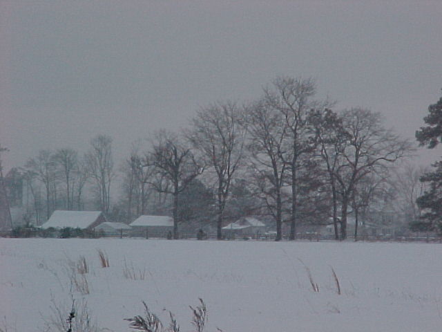 Snow-covered field with bare trees and distant snow-topped houses under a gray winter sky