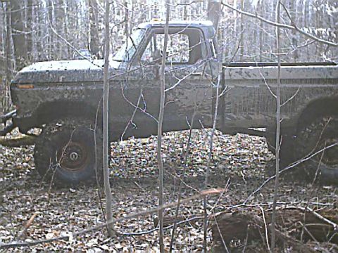 1978 Ford F-250 - This 1978 Ford F-250 pickup truck is seen off-road, partially obscured by trees and covered in mud.