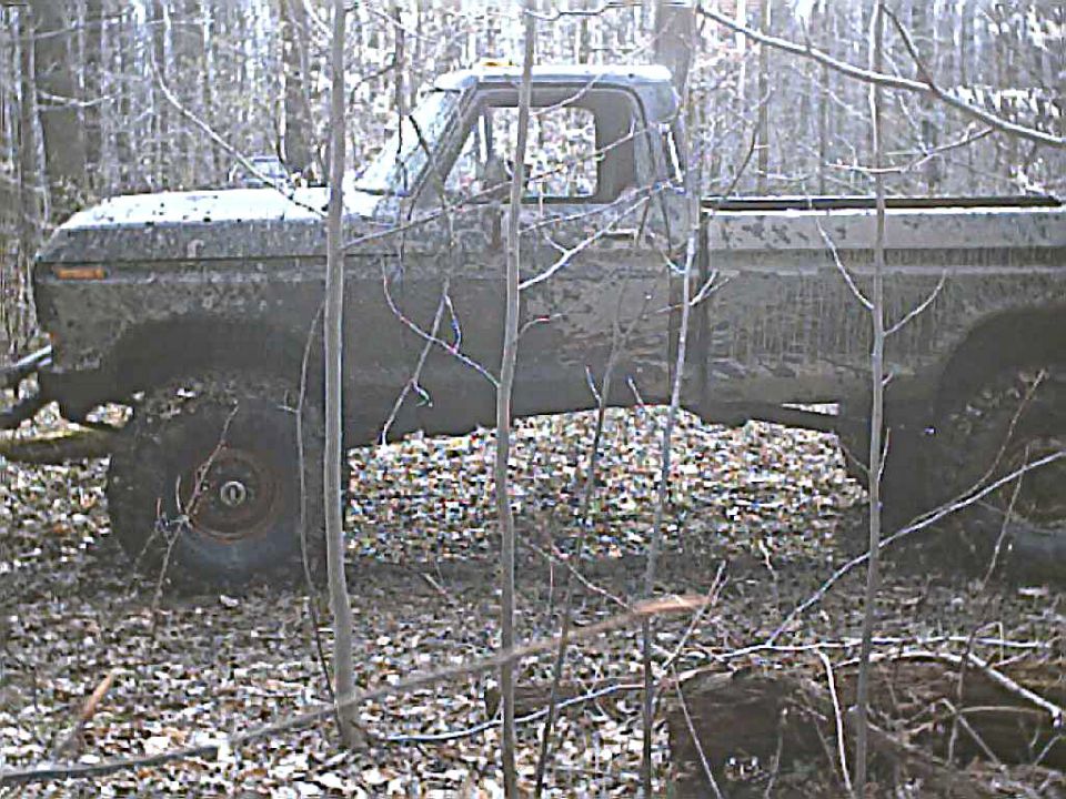 Side view of a muddy 1978 Ford F-250 pickup truck in a wooded area