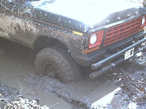 1978 Ford F-250 photo