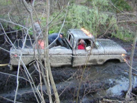 1978 Ford F-250 photo