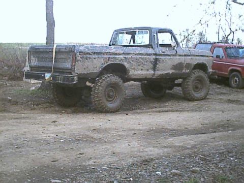 1978 Ford F-250 photo
