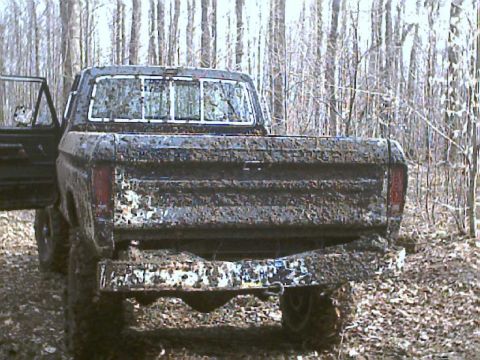 1978 Ford F-250 photo