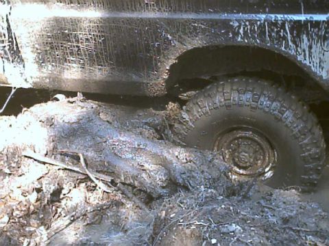 1978 Ford F-250 photo