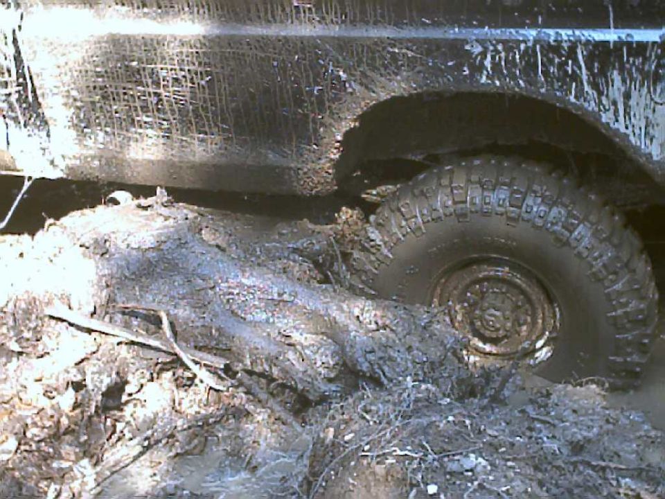 Muddy off-road tire stuck on a log, showing part of a dark-colored vehicle body