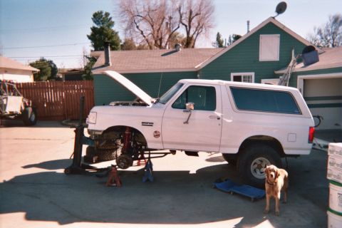 1990 Ford Bronco - white Ford Bronco sits hood-up on jack stands in a driveway beside a green house as a golden retriever stands near.