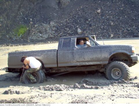 1994 Ford F-150 photo