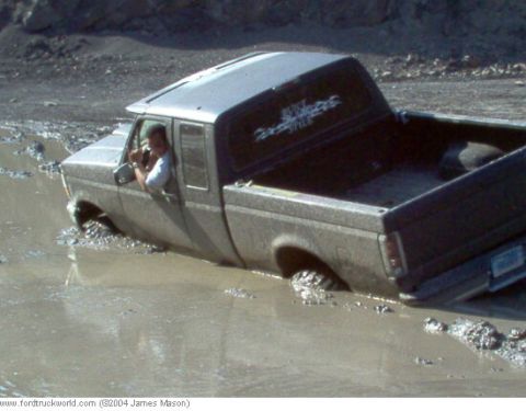1994 Ford F-150 photo