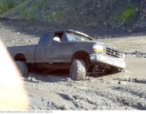 1994 Ford F-150 photo