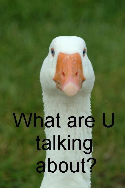 1996 Ford Bronco - A goose stares directly at the camera with text overlay asking "What are U talking about?"