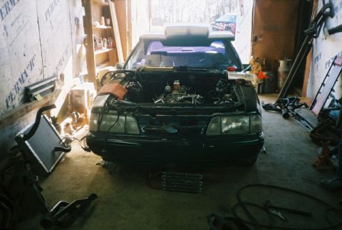 1989 Ford Mustang photo