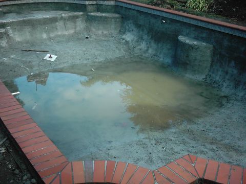 1978 Ford Bronco - An empty swimming pool with a shallow pool of murky water at the bottom and debris scattered around.