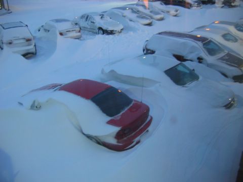 1985 Ford LTD Crown Victoria - A parking lot filled with vehicles completely buried under a thick blanket of snow.