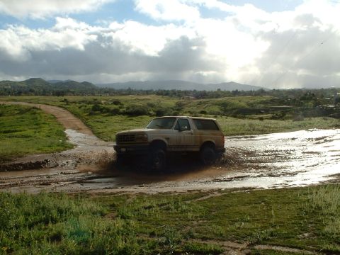 1995 Ford Bronco photo