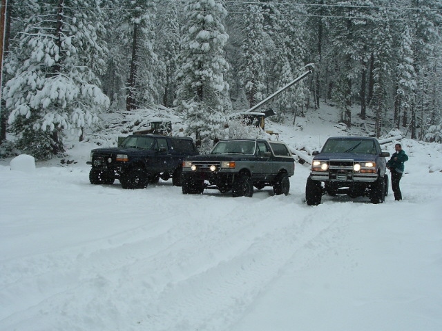 Three lifted Ford Broncos parked in deep snow in front of snowy pine trees