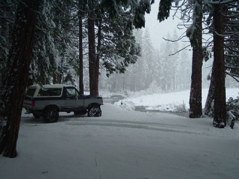 1989 Ford Bronco - Ford Bronco parked in a snowy forest scene.