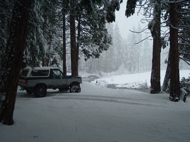Two-tone Ford Bronco parked in falling snow among tall pine trees on a snow-covered trail