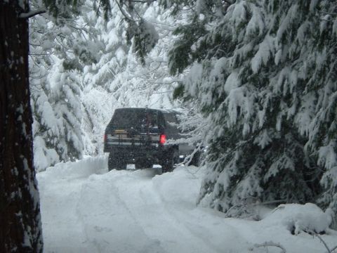 1989 Ford Bronco - A vehicle navigates a snowy path through a forest, with heavy snow blanketing the trees and ground.