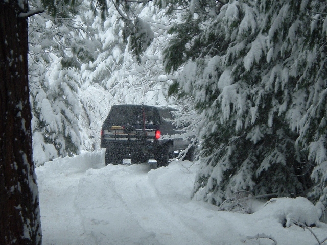 Dark SUV with roof rack stopped on a snowy forest road during heavy snowfall