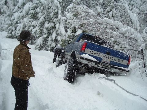 1989 Ford Bronco - A blue Chevrolet pickup truck is stuck in the snow on a wooded road.
