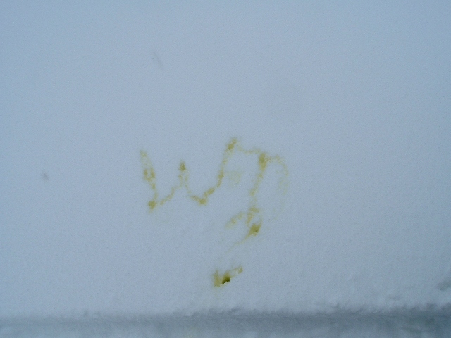 Faint yellow stain or scrawl on a white painted panel surface