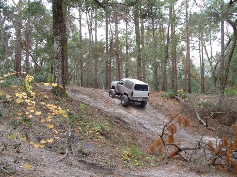 1995 Ford Bronco - An SUV navigates a steep, wooded trail, kicking up dirt as it climbs.