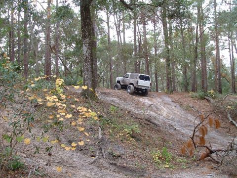 1995 Ford Bronco - A white SUV navigates a muddy incline in a wooded area.