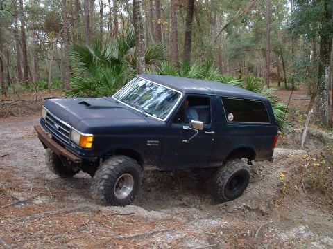 1995 Ford Bronco - This Ford Bronco appears to be from the 1987-1991 generation, not a 1995 model.