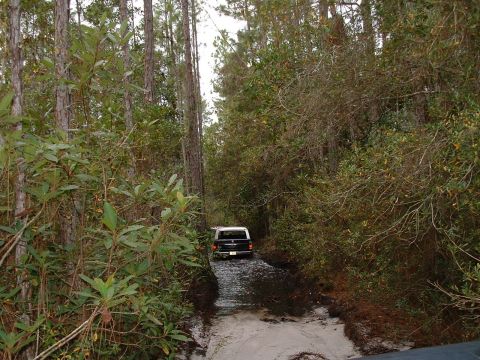 1995 Ford Bronco - A truck navigates a water crossing on a wooded trail.