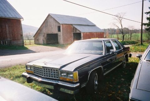 1984 Ford LTD Crown Victoria photo