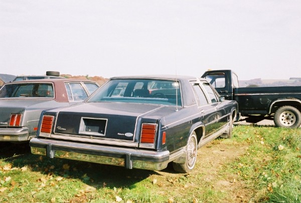 Dark blue full-size Ford sedan, rear 3/4 view, parked in a grassy lot
