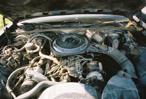 1984 Ford LTD Crown Victoria photo