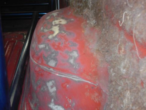 1978 Ford Bronco - Close-up of red painted metal with primer and rust patches, revealing a curved seam and some hair.
