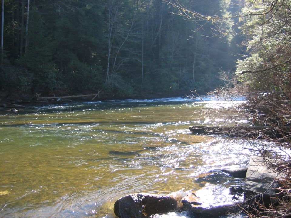 Sunlight glinting on a flowing river with trees on the bank