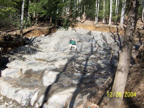 1987 Ford Bronco - A person sits on a rocky outcrop in a forest on a sunny day.