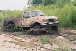1988 Ford F-150 photo