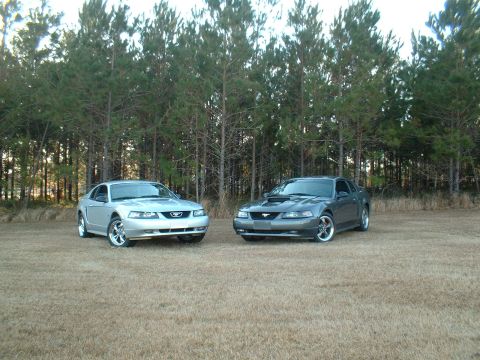 1999 Ford Mustang - Two Ford Mustangs are parked in a field with a line of trees in the background.