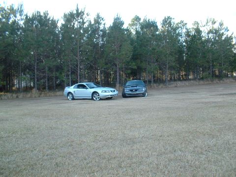 1999 Ford Mustang - Two Ford Mustangs are parked on a grassy field with a line of pine trees behind them.