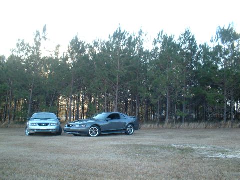 1999 Ford Mustang - Two Ford Mustangs, a coupe and a GT, are parked side-by-side in a grassy field with pine trees in the background.