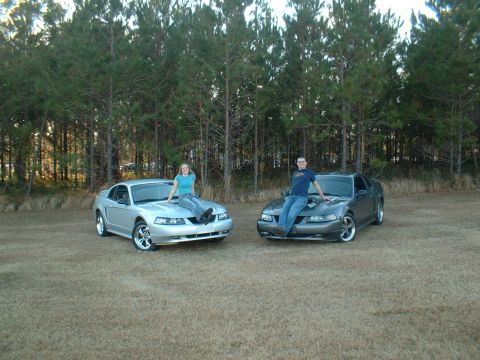 1999 Ford Mustang - Two Ford Mustangs, a silver coupe and a gray coupe, are parked in a grassy field with a line of trees in the background.