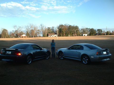 1999 Ford Mustang - Two 1999 Ford Mustangs are parked in a grassy field under a partly cloudy sky.
