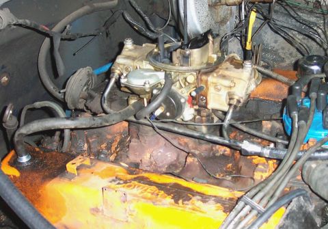 1979 Ford F-150 - Engine 1