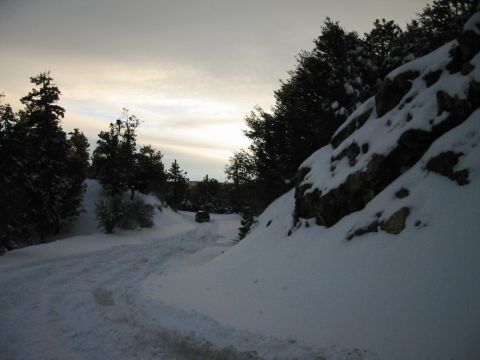 1999 Toyota Tacoma - Looks like a great day to play in the snow.