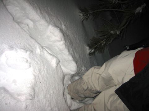 1999 Toyota Tacoma - Pretty deep snow