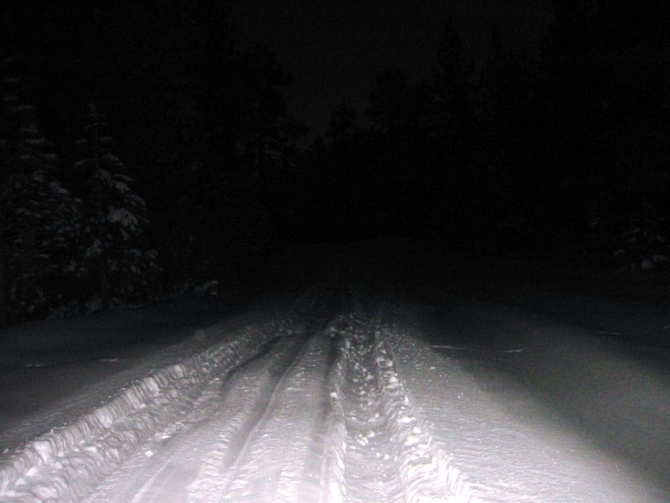 tire tracks in snow on a dark road at night, with trees visible on the left