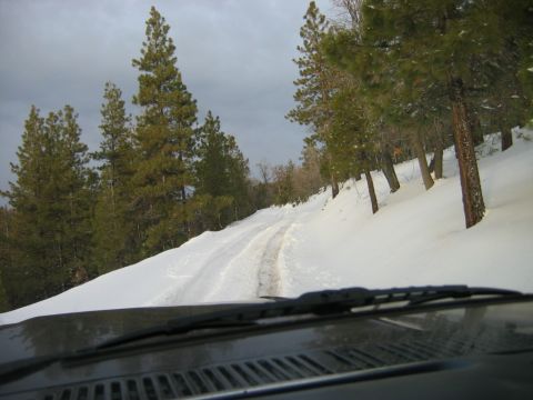 1999 Toyota Tacoma