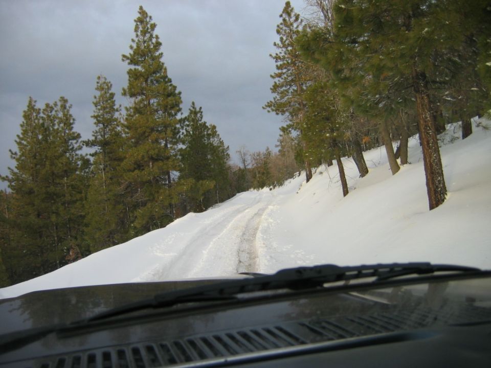 View from inside a vehicle driving on a snowy road through a forest