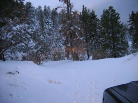 1999 Toyota Tacoma
